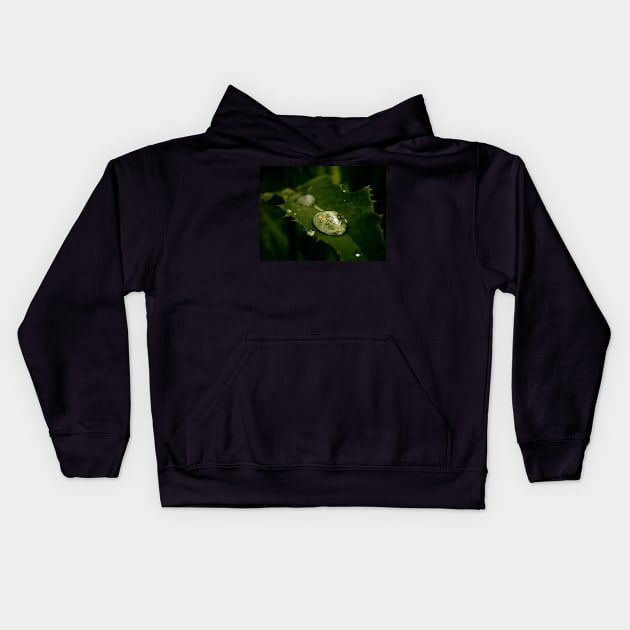 Drop of Water on a Leaf - macro photography Kids Hoodie by JuicyJulsy